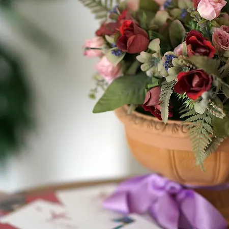 Garden 3* أريتسو